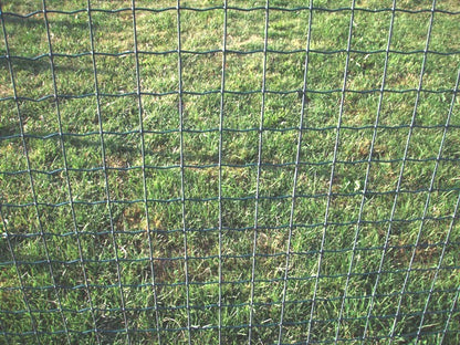 Keevisvõrk Extra Strong (Ø2,5mm) RAL6005 roheline 25m rullis