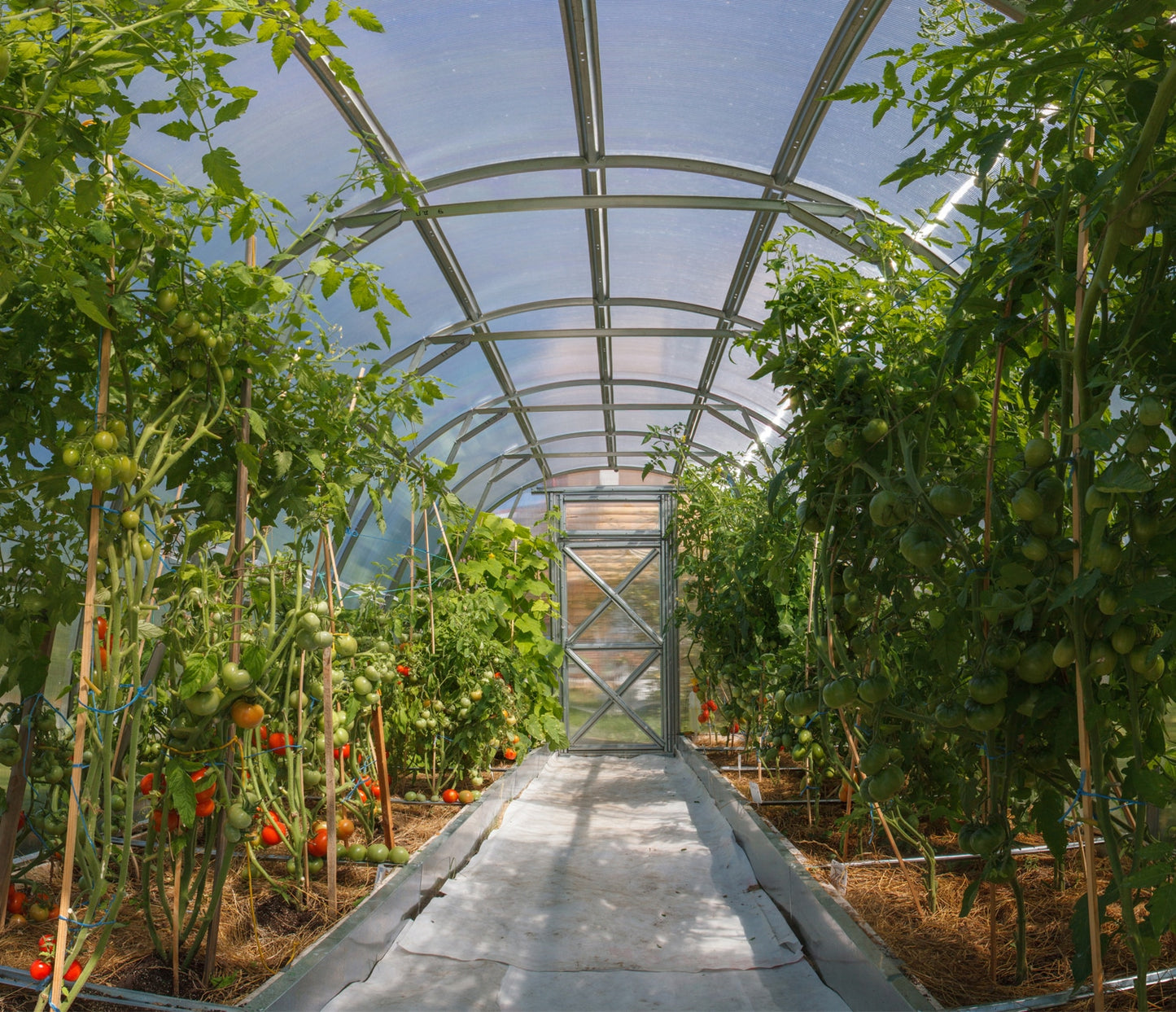 Kasvuhoone LUUNJA 3x10m / 30m²