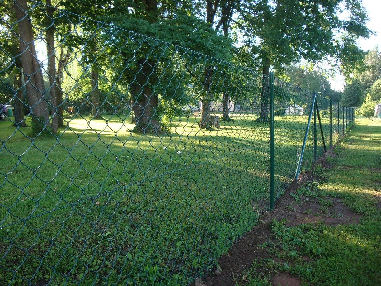 Punuvõrk PVC RAL6005 roheline 12,5m rullis