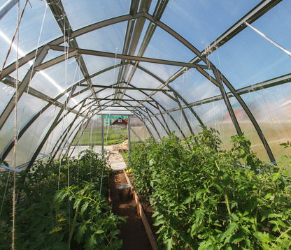 Kasvuhoone VALGA 2,6x4m / 10,4m²