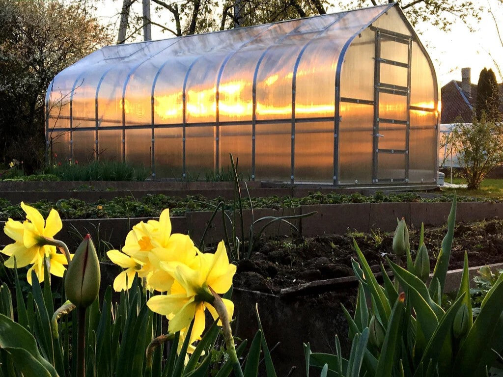 Kasvuhoone KLASIKA STANDART alusraamiga + katuseluuk 2,5x8m / 20m²